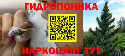 ешки Волжск