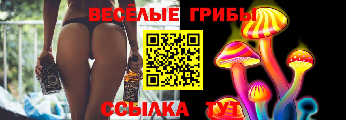 Галлюциногенные грибы Psilocybe  Вход с VPN  Маркс  Псилоцибиновые грибы мицелий 